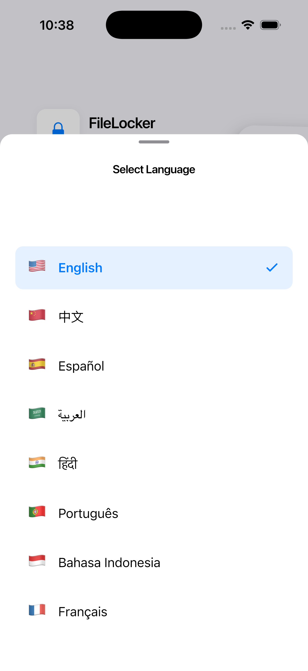 Language Settings - Light Theme